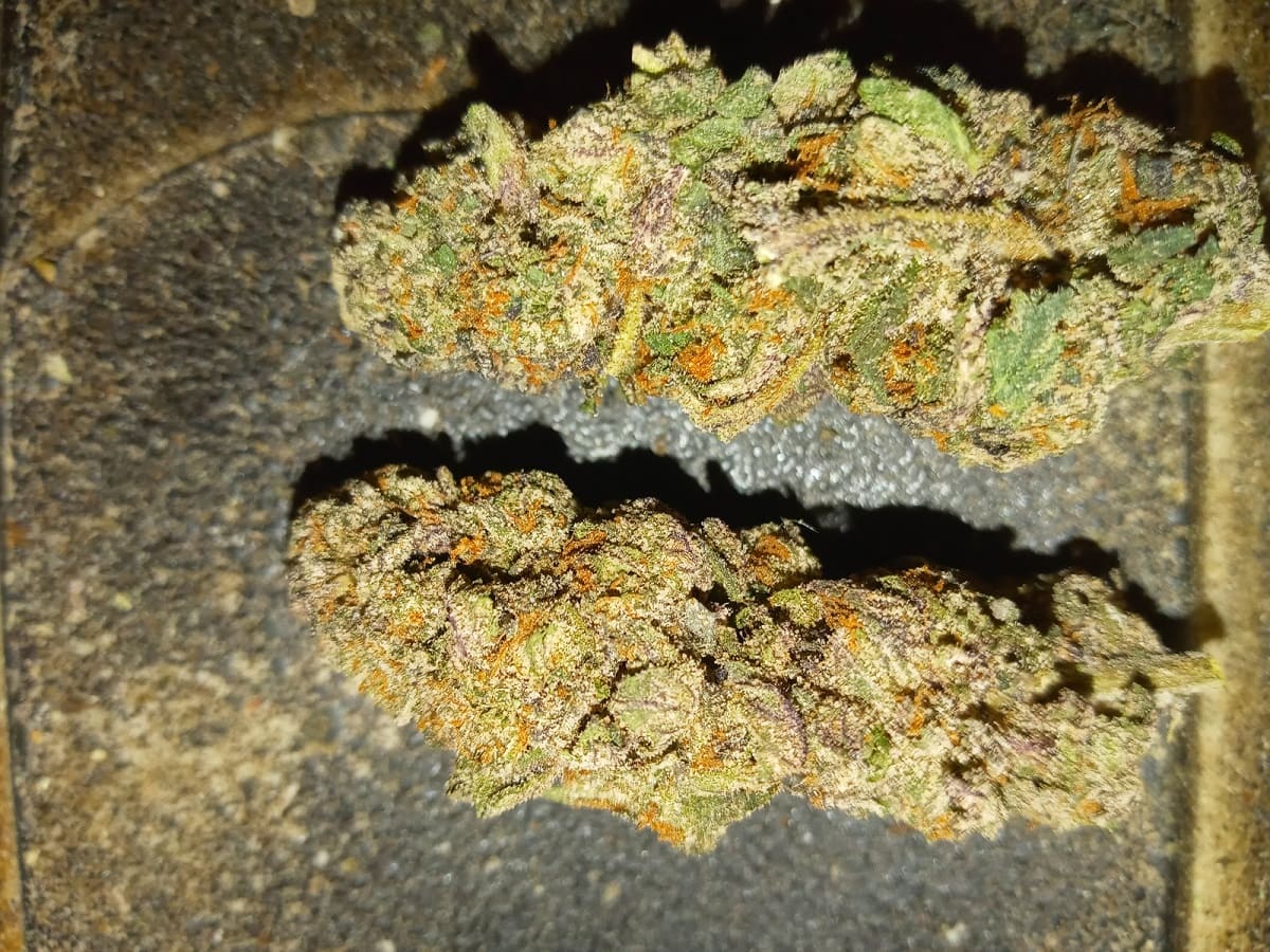 Rainbow cookie strain review