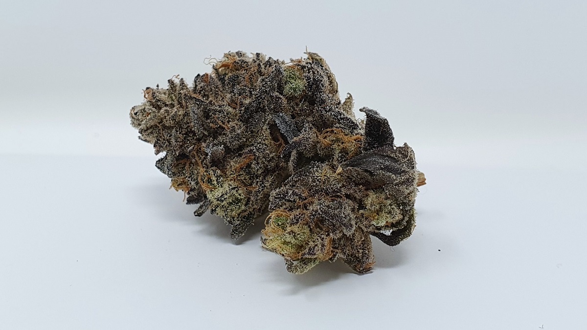 Sherb crasher strain review